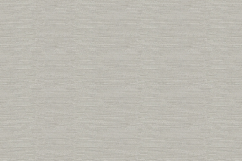 H1005-01