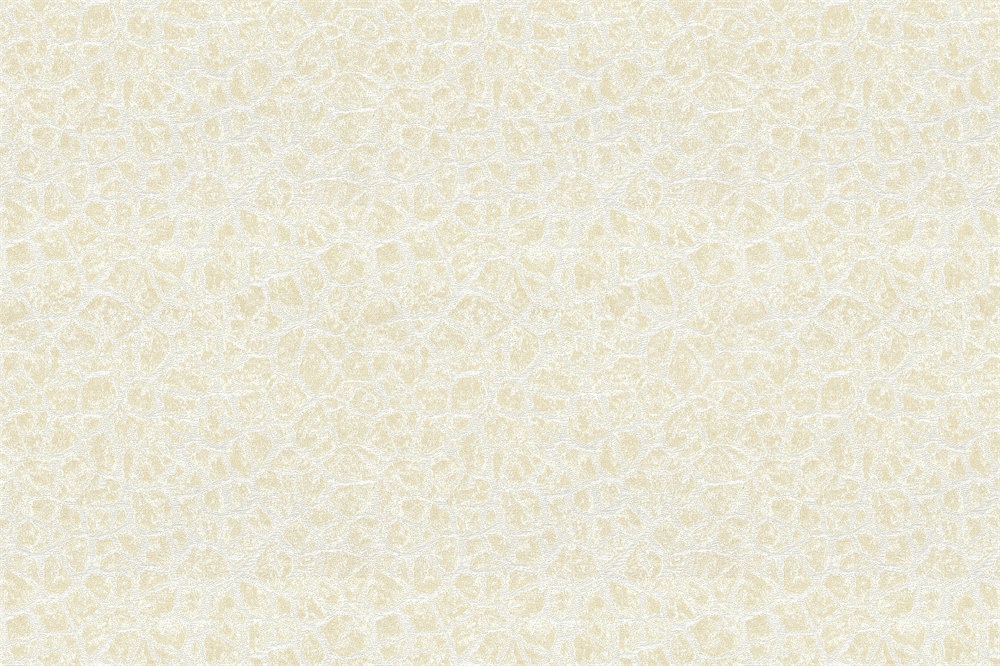 G1705-01